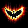 Phoenix *