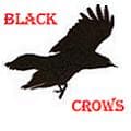 Black Crows