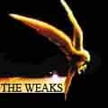 The Weaks