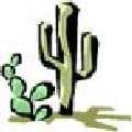 Xerophytes