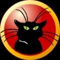 Black Cats