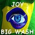 Joy Big Wash