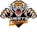Spy Tigers
